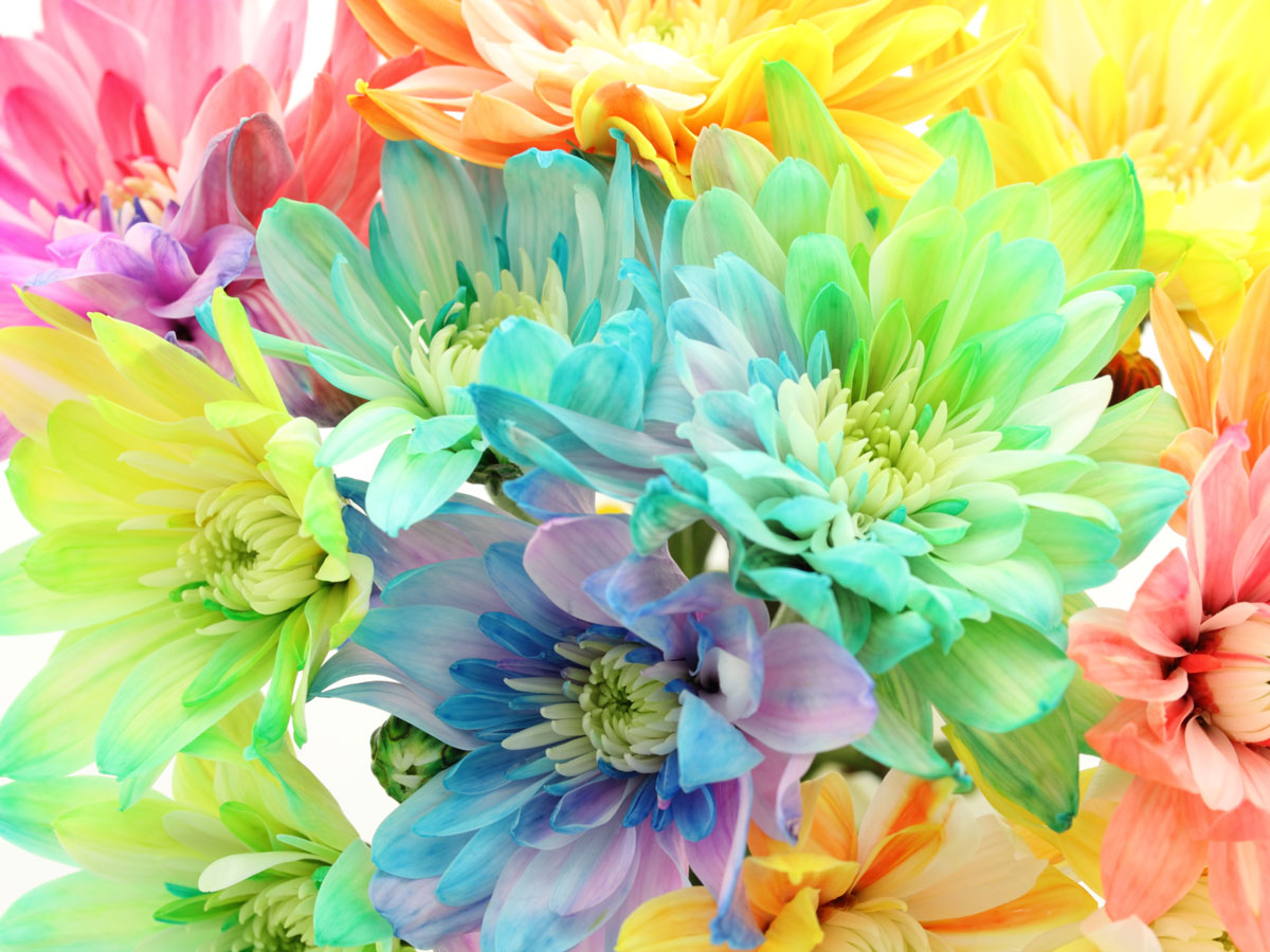 無店舗型デリバリーヘルスの開業